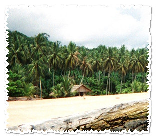 2002
