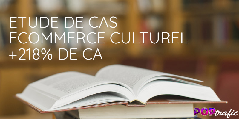 Site Boutique culturel, Etude de cas (+218% de CA en 1 an) ETUDES DE CAS